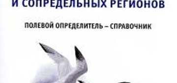 Издан Полевой определитель-справочник "Чайковые птицы России и сопредельных регионов"