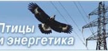 Приняты новые «Требования к предотвращению гибели  объектов животного мира…»